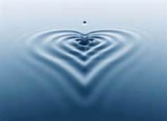 heart water